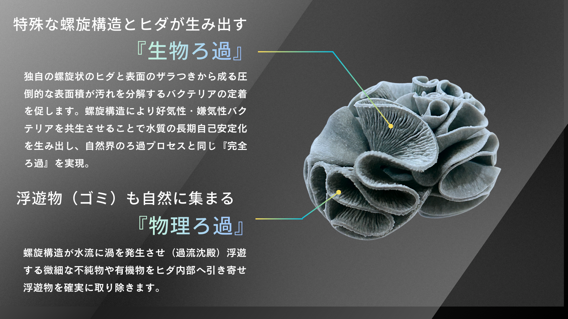 フジノスパイラル – フジノスパイラルオフィシャルサイト