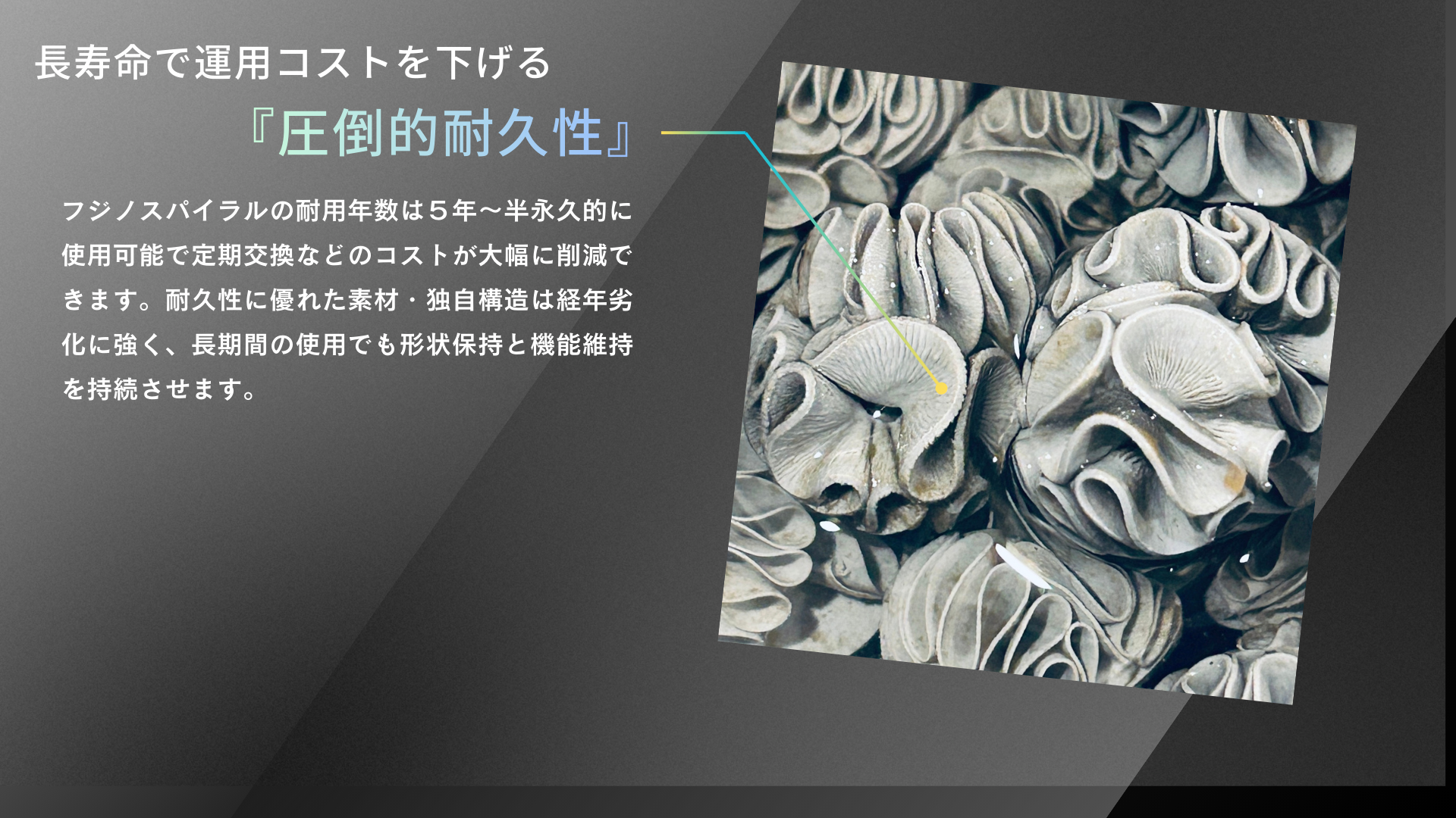 フジノスパイラル – フジノスパイラルオフィシャルサイト