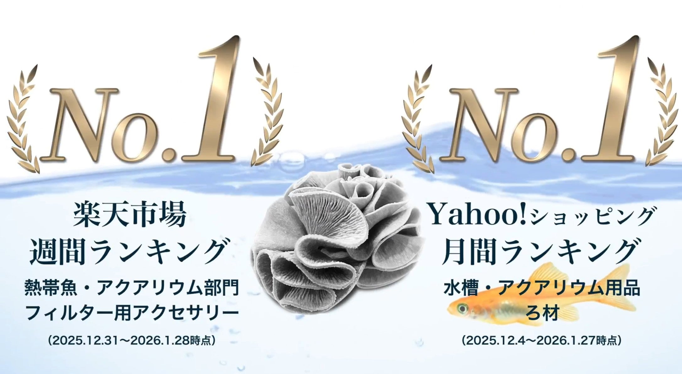 購入する – フジノスパイラルオフィシャルサイト