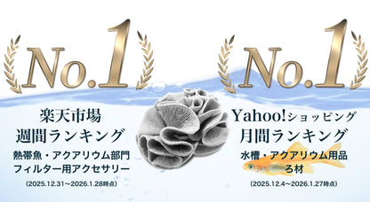 フジノスパイラル